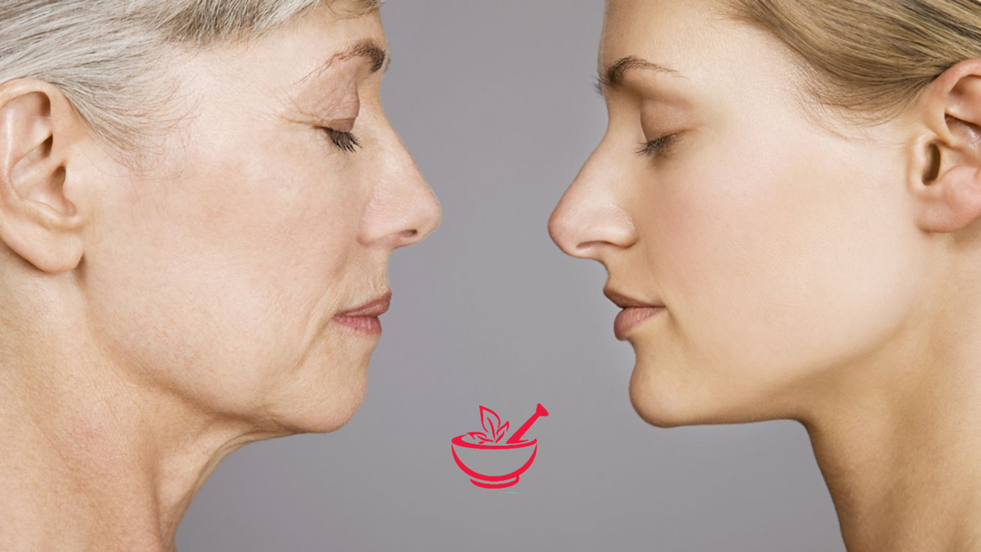 Aging Gracefully: Top Supplements to Stay Active & Sharp