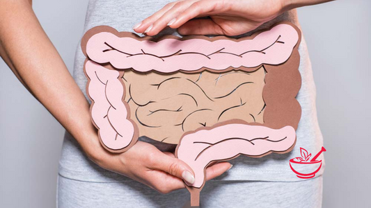Mood & Gut Connection: How Your Digestive Health Impacts Anxiety and Focus