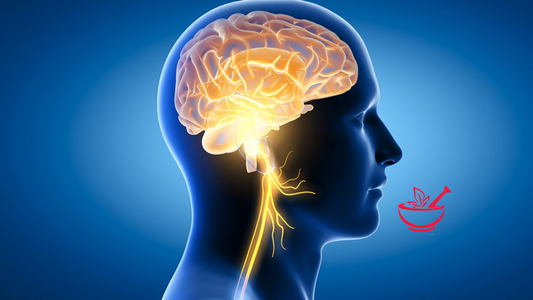 Brain Health Supplements: Boost Memory & Focus Naturally