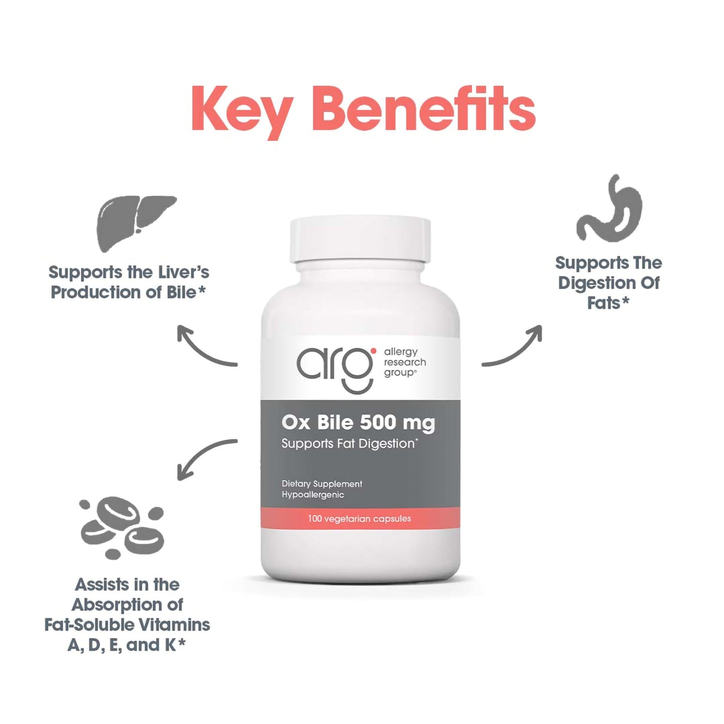 Ox Bile 500 mg – Enhanced Digestion & Nutrient Absorption