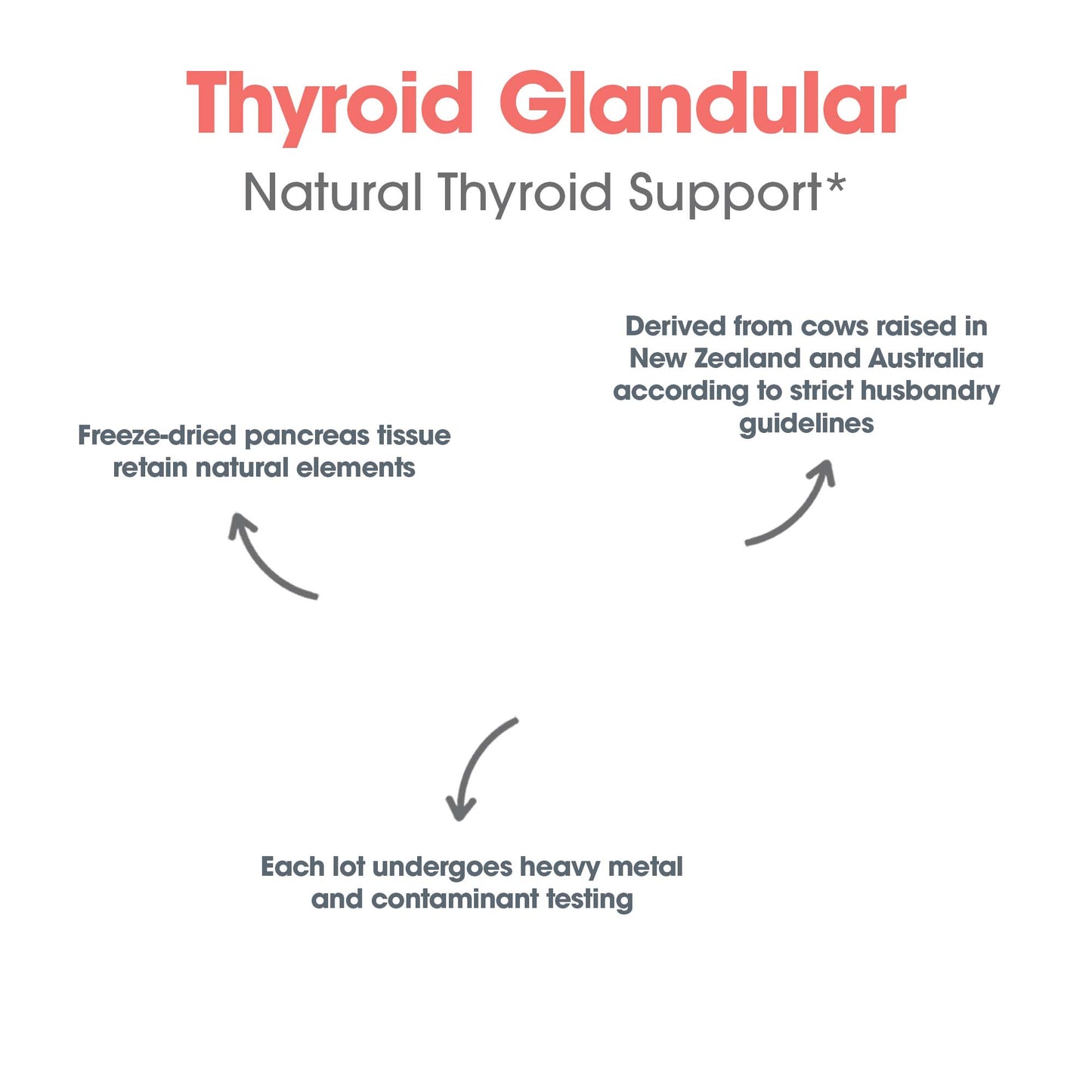 Thyroid Supplement – Supports Healthy Thyroid Function and Hormonal Balance