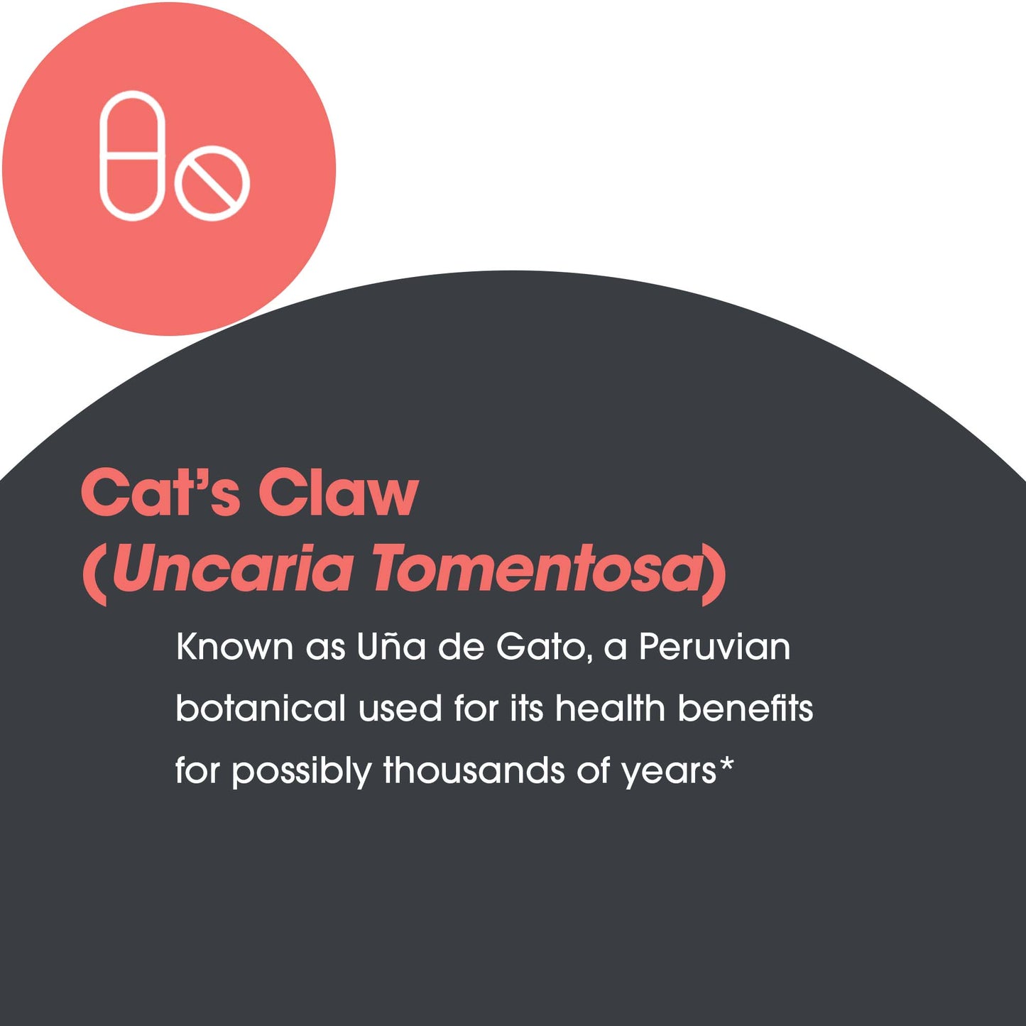 Cat's Claw – Antioxidant & Immune System Support
