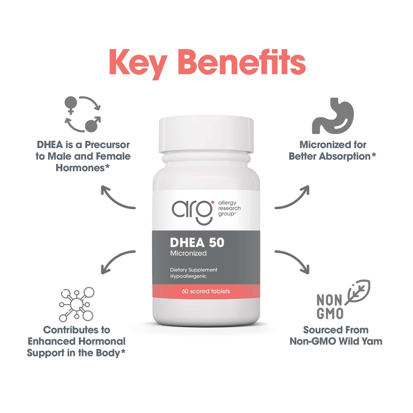 DHEA 50 mg – Plant-Sourced Micronized Supplement for Hormonal Support