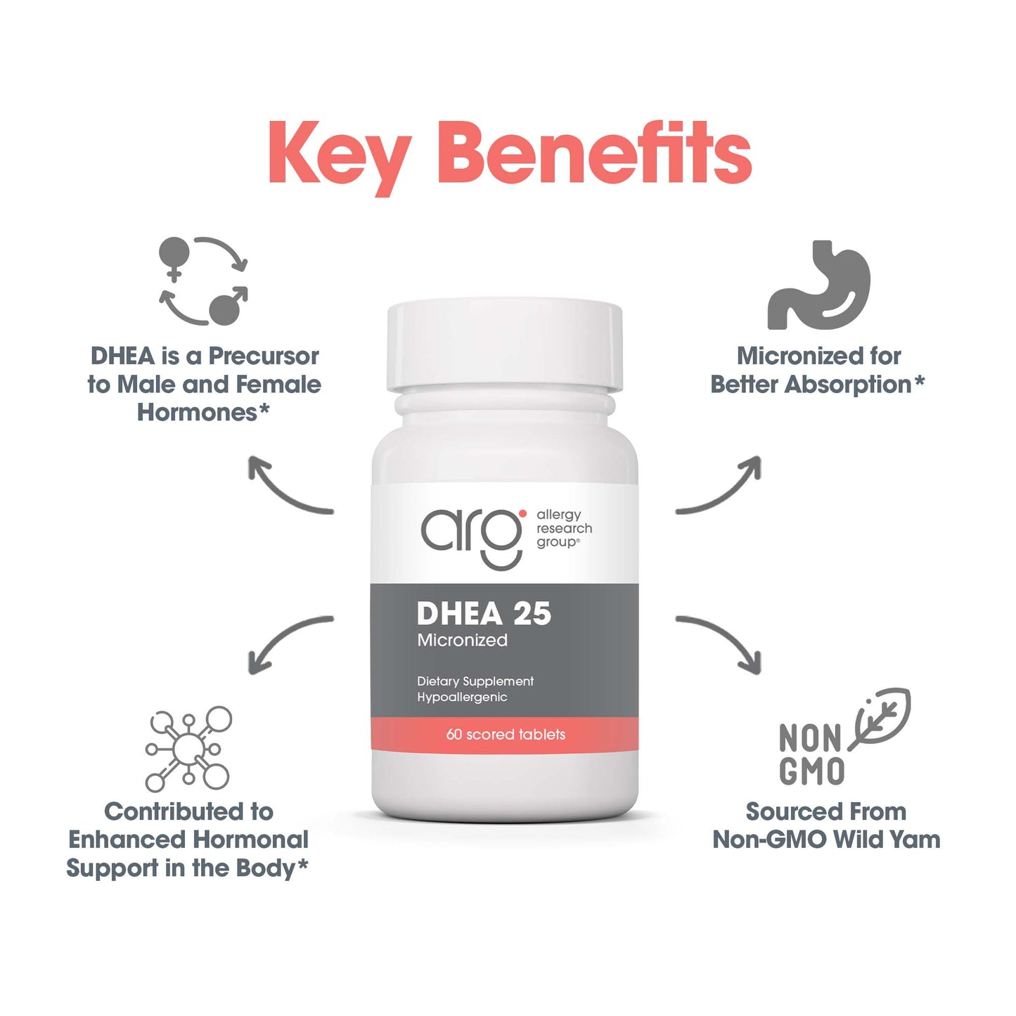 DHEA 25 mg – Plant-Sourced Micronized Supplement for Hormonal Support