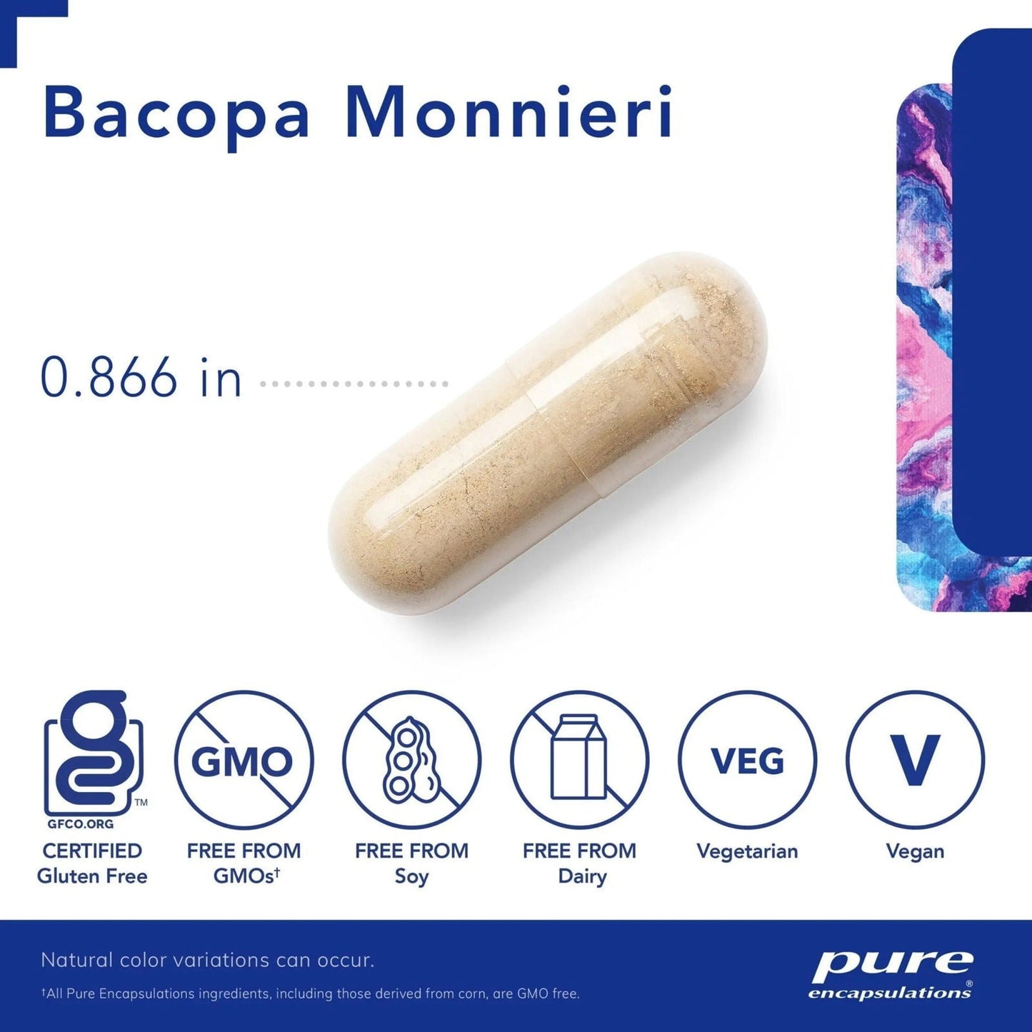 Bacopa monnieri 180's - ROCK RIDGE PHARMACY