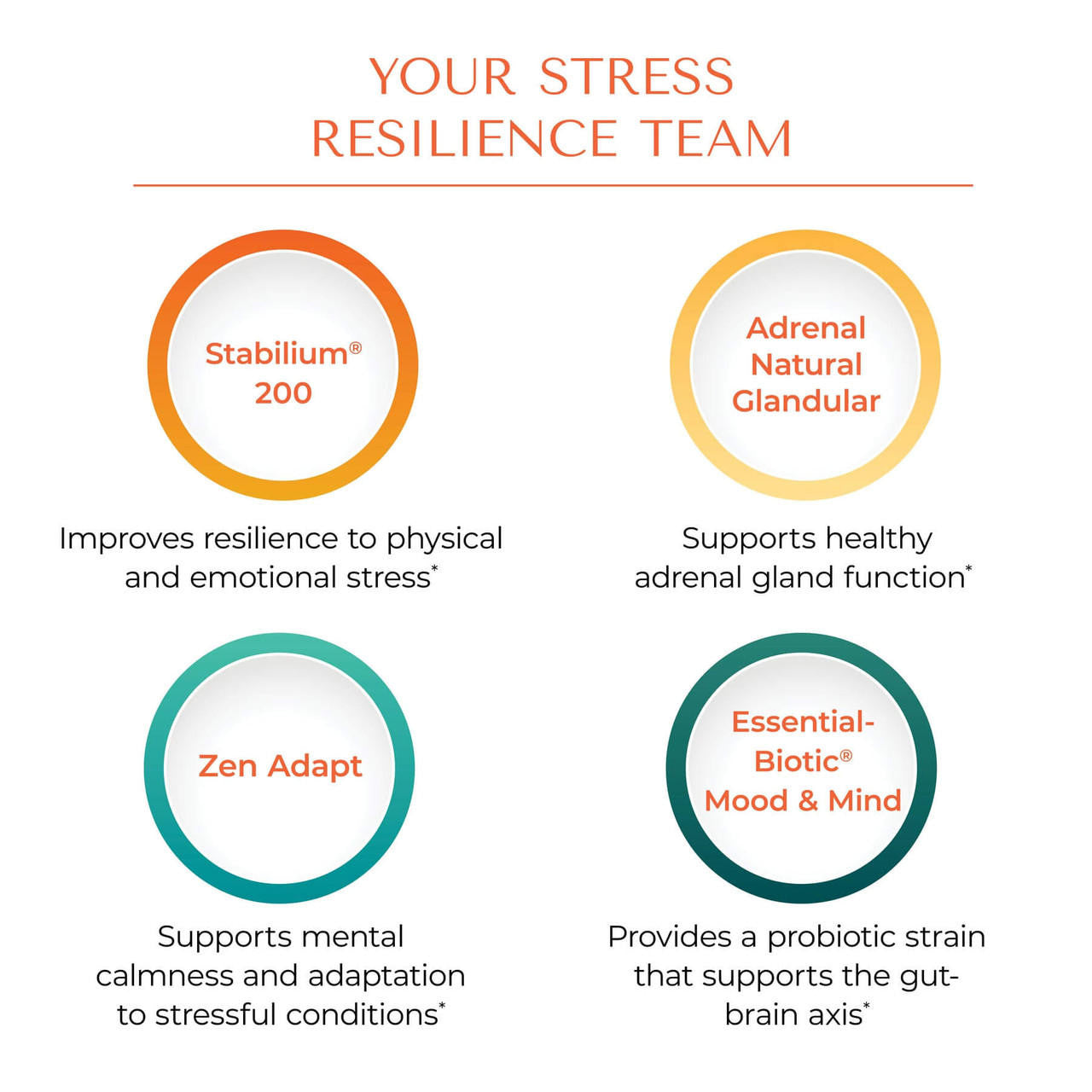 Stabilium® 200 Garum Armoricum® – Supports Mental and Physical