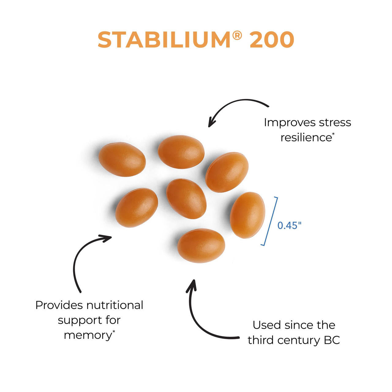 Stabilium® 200 Garum Armoricum® – Supports Mental and Physical