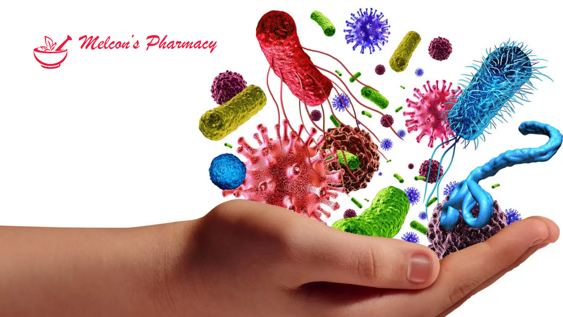 Boost Immunity Naturally: Everyday Defense From Germs to Smoke