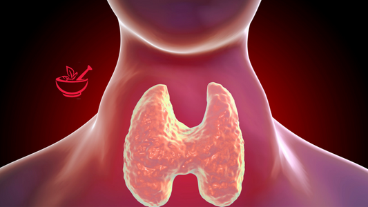 Thyroid Health 101: How Your Thyroid Affects Your Energy, Mood, & Weight