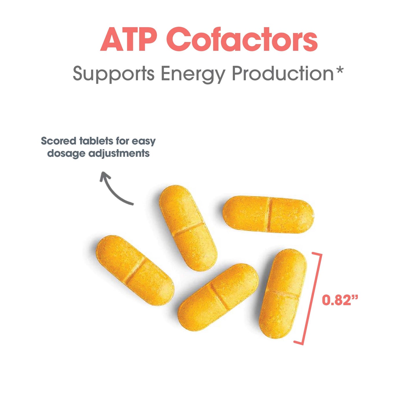 Optimox® ATP Cofactors™ – Vitamin B2 and B3 Supplement