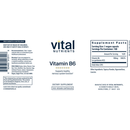 Vitamin B6 100mg