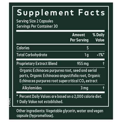 Echinacea Supreme