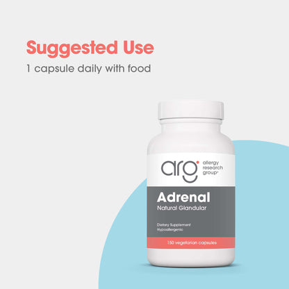 Adrenal Glandular Supplement – Natural Adrenal Support
