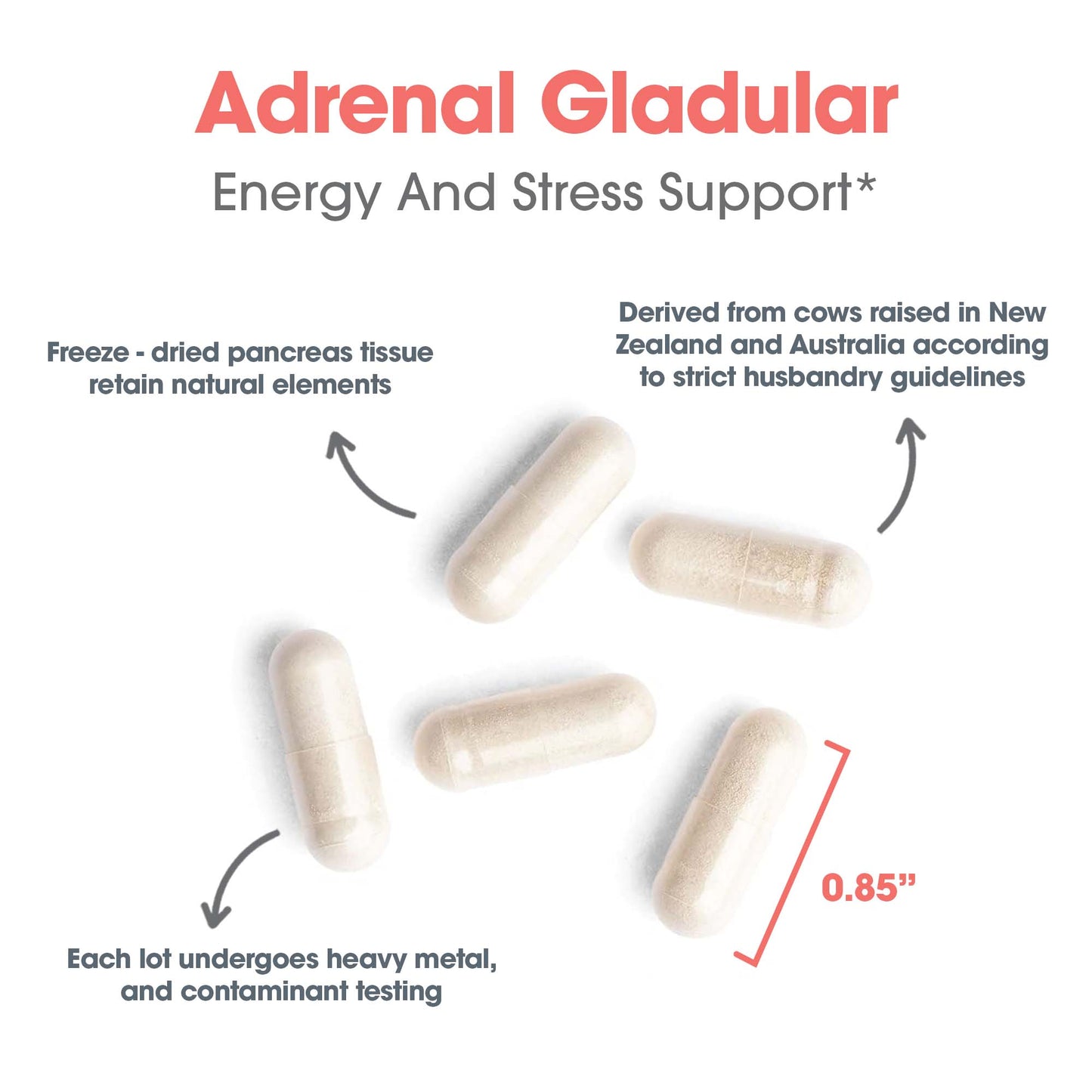 Adrenal Glandular Supplement – Natural Adrenal Support
