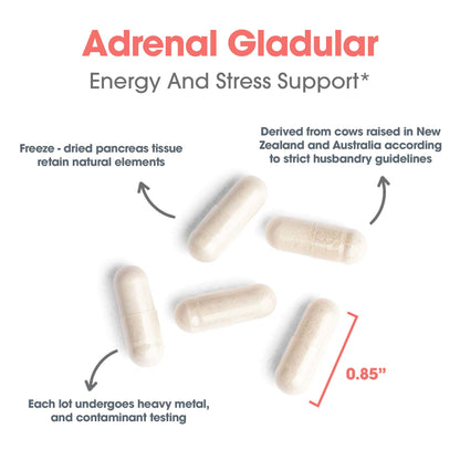 Adrenal Glandular Supplement – Natural Adrenal Support