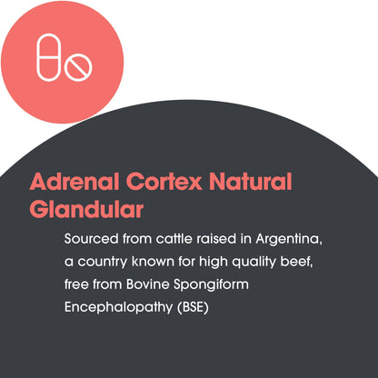 Adrenal Cortex Supplement – Targeted Adrenal Support