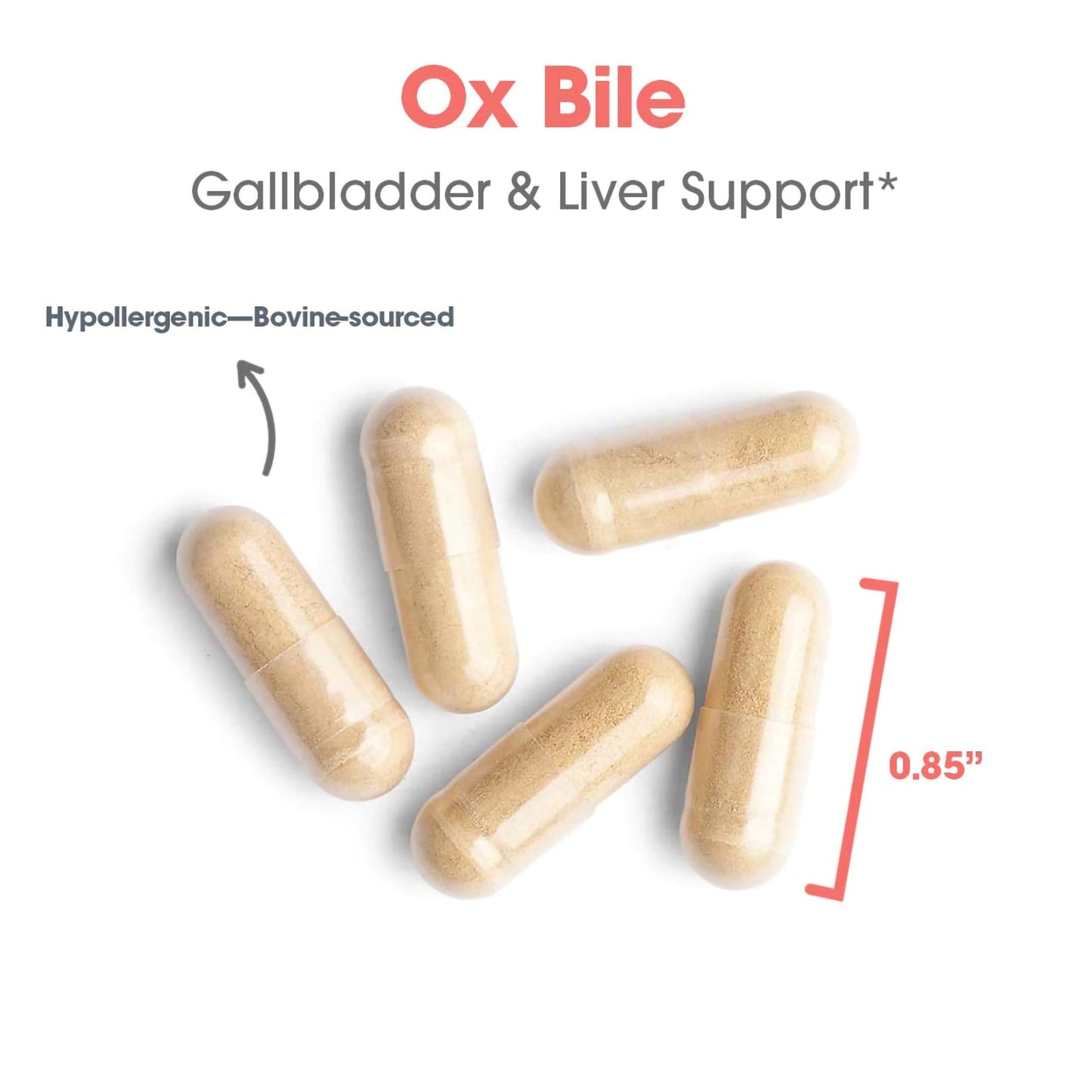 Ox Bile 500 mg – Enhanced Digestion & Nutrient Absorption