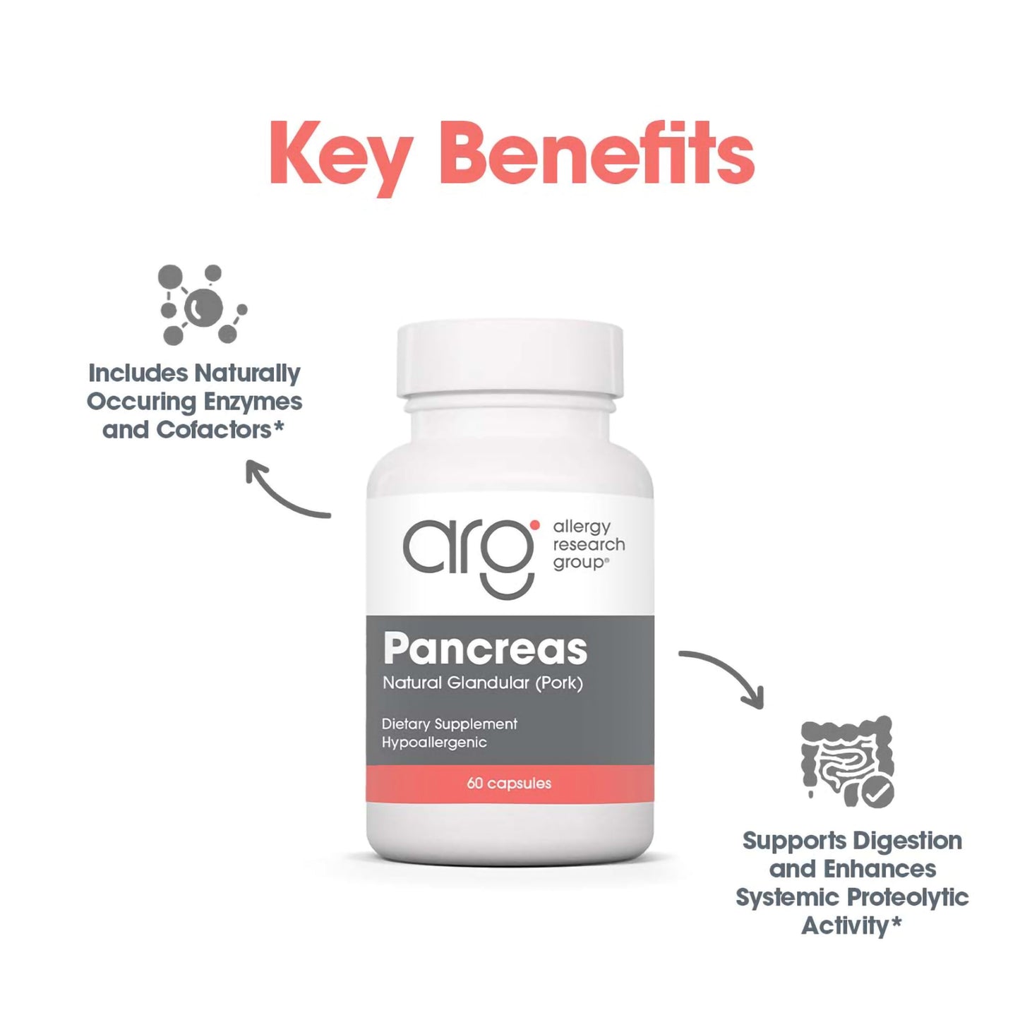 Pancreas Pork 60 Capsules – Digestive Health Support Supplement