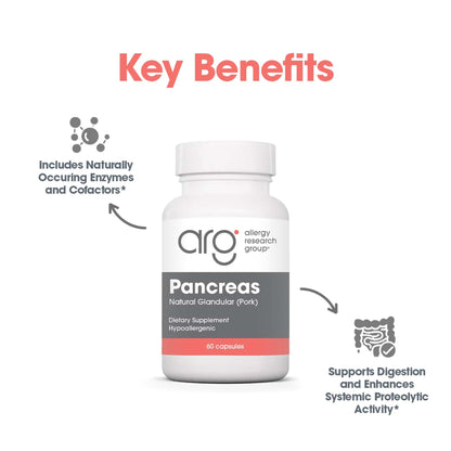 Pancreas Pork 60 Capsules – Digestive Health Support Supplement