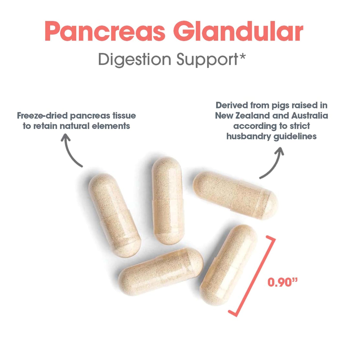 Pancreas Pork 60 Capsules – Digestive Health Support Supplement
