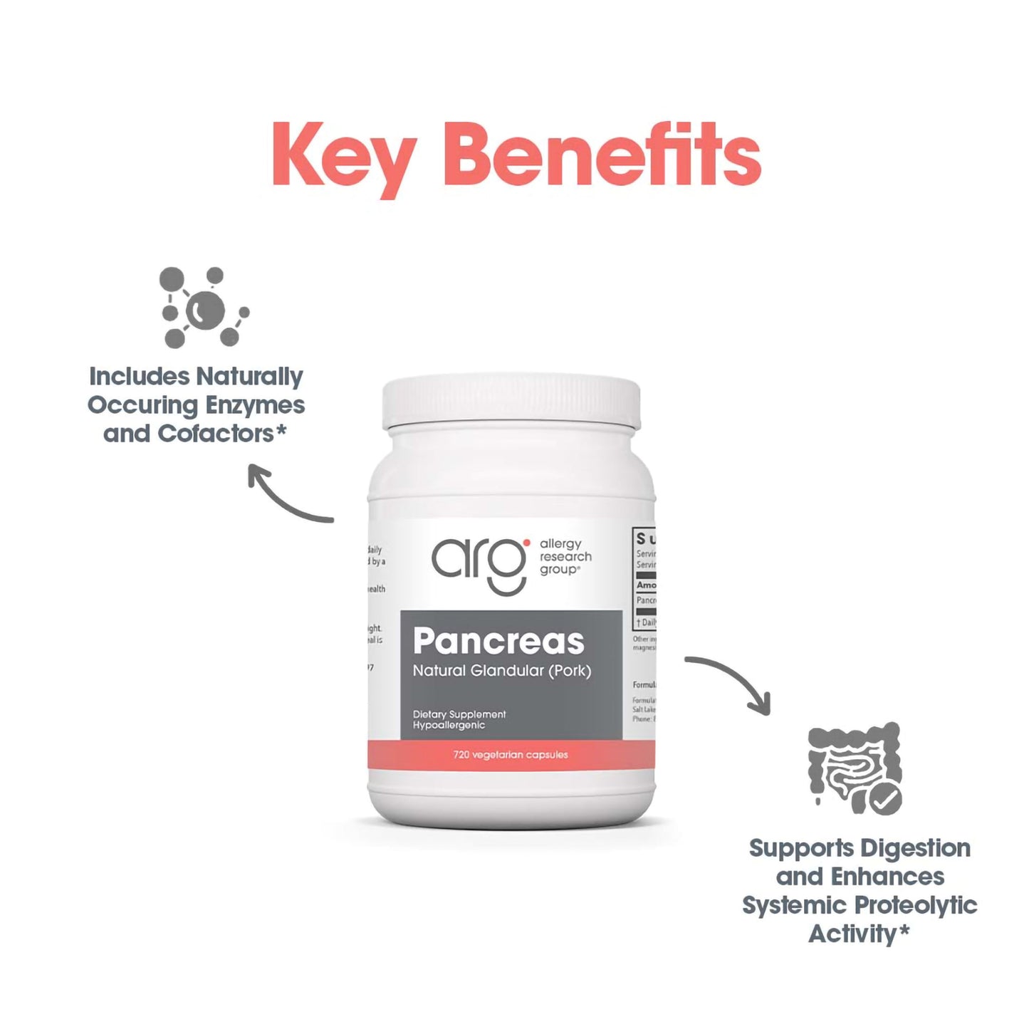 Pancreas Pork – Digestive Health Support Supplement