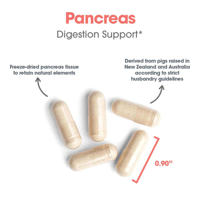 Pancreas Pork – Digestive Health Support Supplement