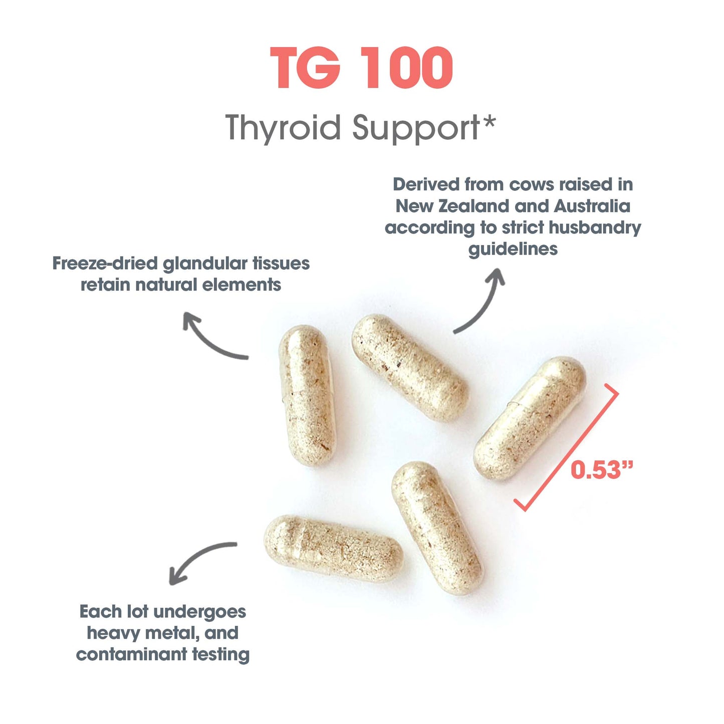 TG 100 – Thyroid Support Supplement for Healthy Thyroid Function