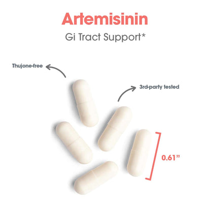 Artemisinin – High-Purity Sweet Wormwood Extract