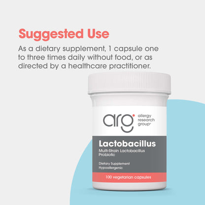 Lactobacillus Probiotic Supplement – Supports Digestive Health with Hardy Strains