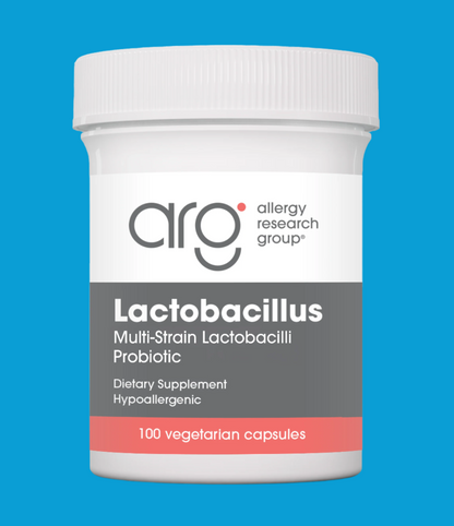 Lactobacillus Probiotic Supplement – Supports Digestive Health with Hardy Strains