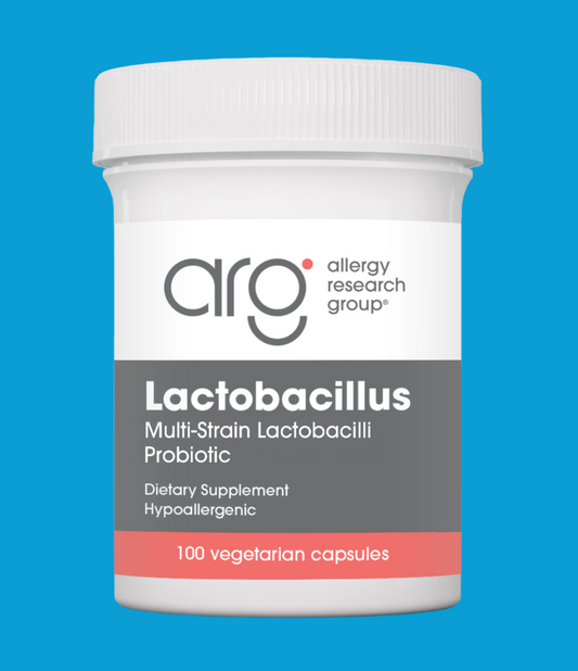Lactobacillus Probiotic Supplement – Supports Digestive Health with Hardy Strains