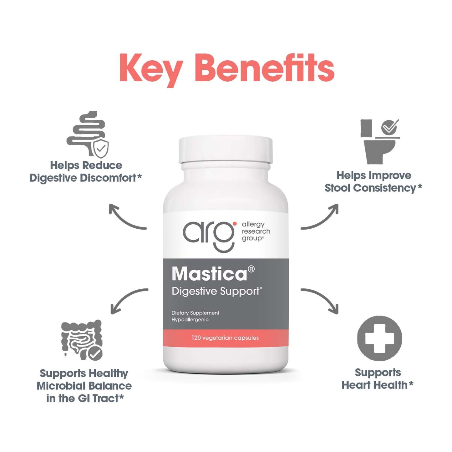 Mastica® – Support Your Digestive Health with Chios Gum Mastic