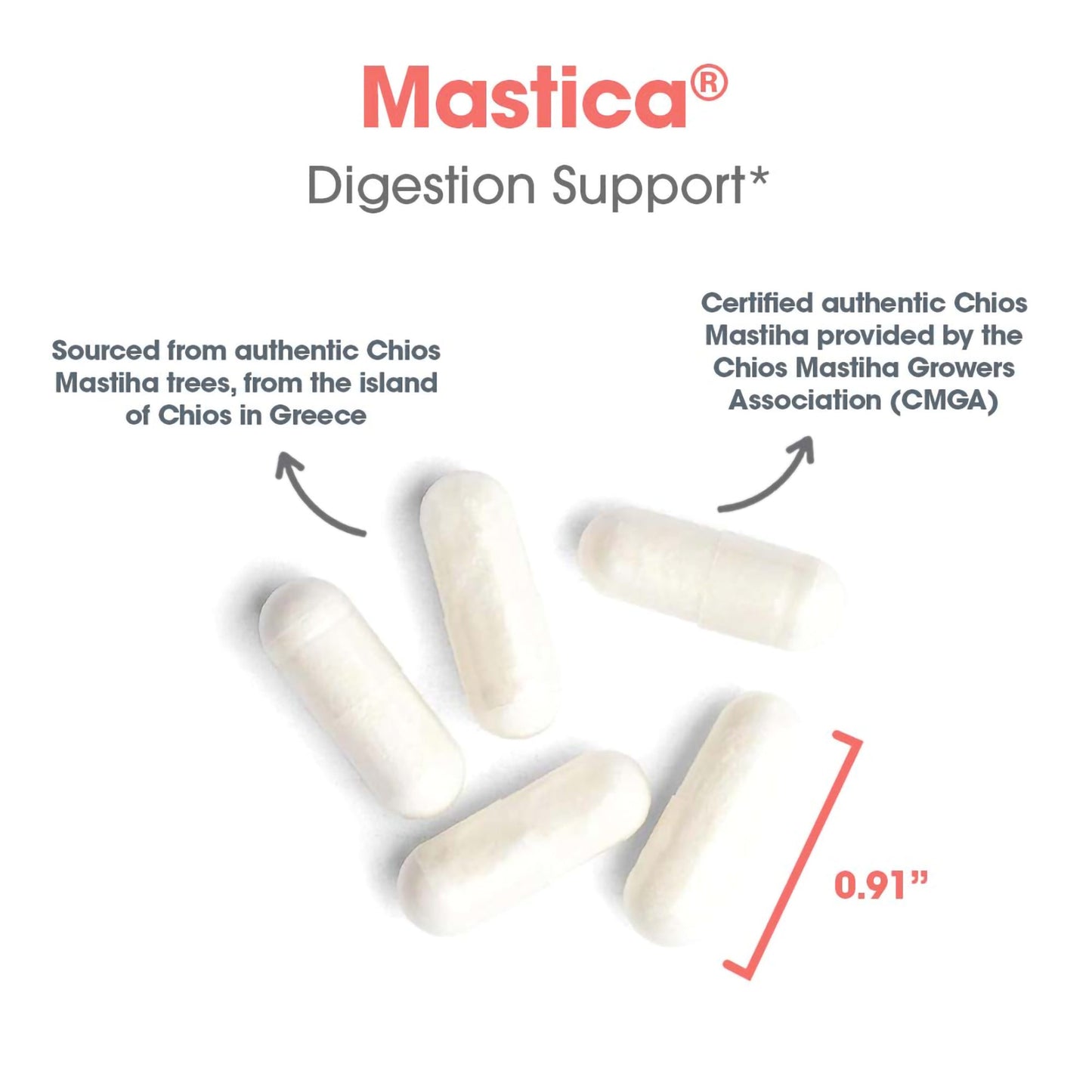 Mastica® – Support Your Digestive Health with Chios Gum Mastic