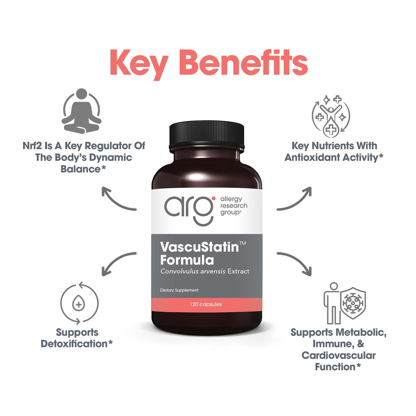 VascuStatin™ Formula – Bindweed Supplement for Vascular Health Support