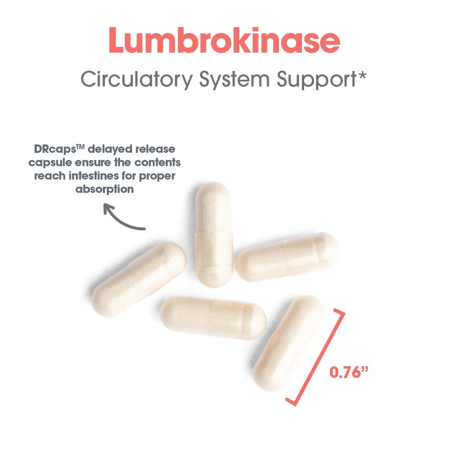 Lumbrokinase Delayed Release – Proteolytic Enzyme Supplement