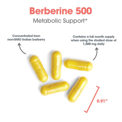 Berberine 500 – Metabolic & Microbial Balance Support