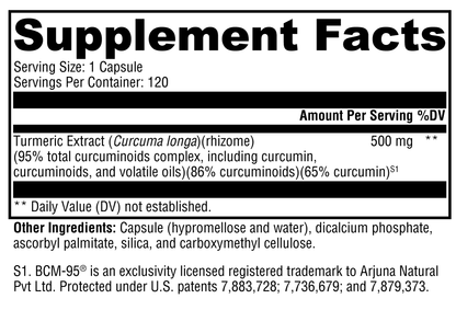CurcuPlex-95™ – Advanced Turmeric Extract for Inflammation, Joint, and Cellular Support