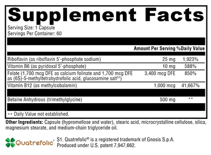 Methyl Protect® – Methylation and Cardiovascular Health Support